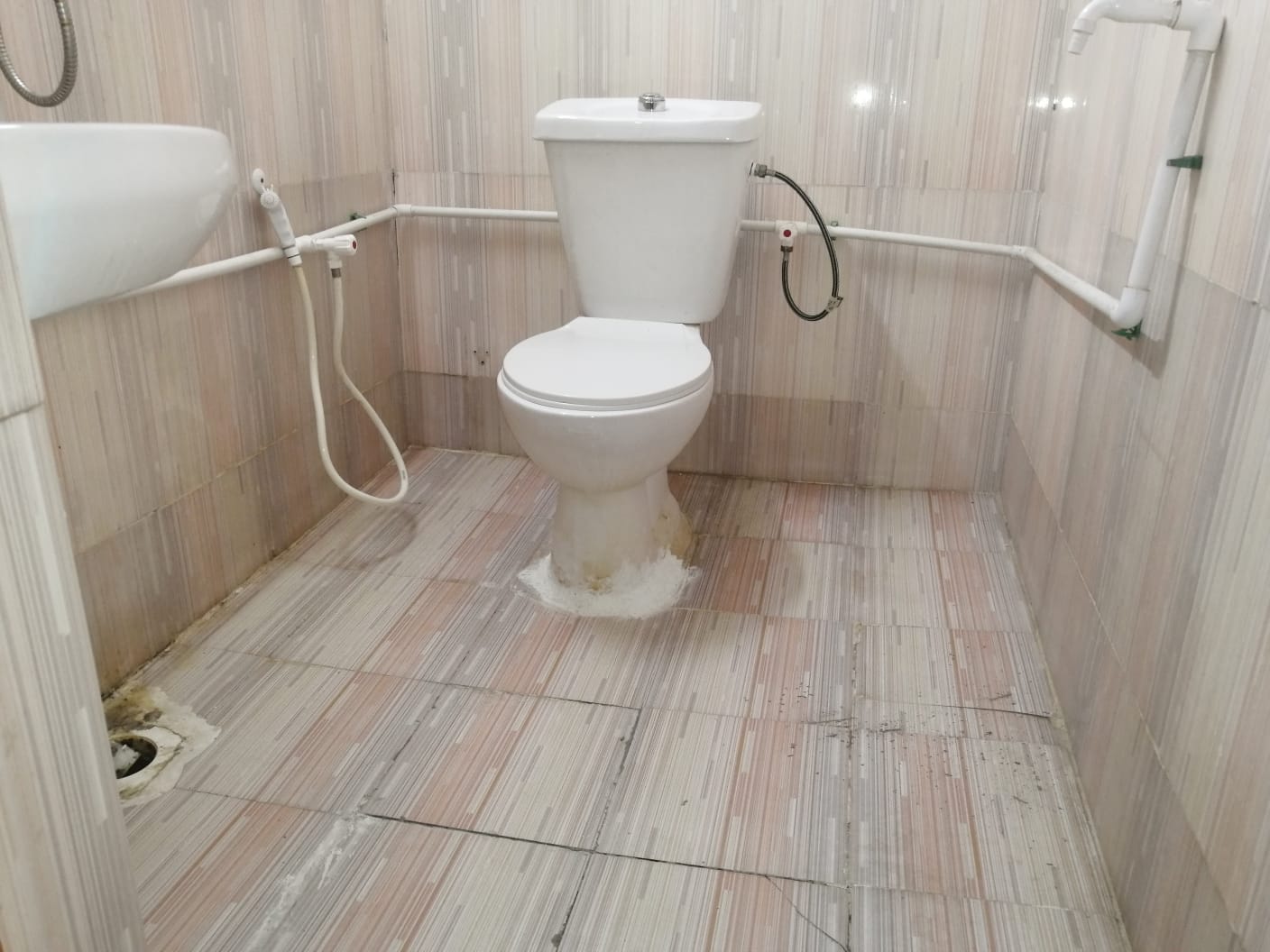 6d072068-be40-4ef9-831e-1e4a5fb5d115